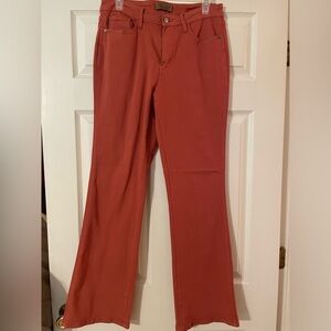Judy Blue jeans. Rust color. Size 9/29.